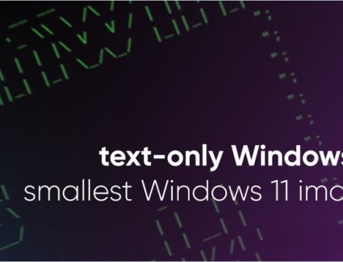 小而強大：探索NTDEV如何將Windows 11減至100MB”